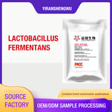 Lactobacillus fermentans