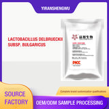 Lactobacillus delbrueckii subsp. bulgaricus