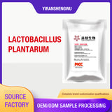 Lactobacillus plantarum