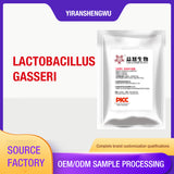 lactobacillus gasseri