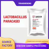 Lactobacillus paracasei