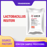 Lactobacillus reuteri